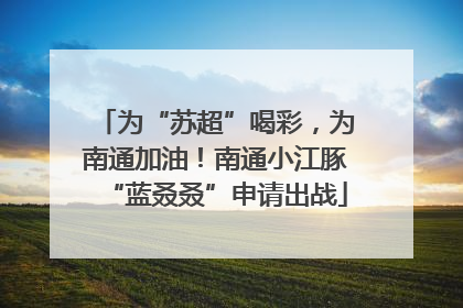 为“苏超”喝彩，为南通加油！南通小江豚“蓝叒叒”申请出战