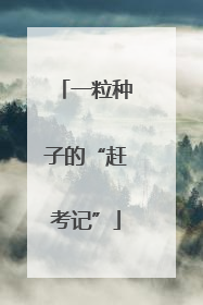 一粒种子的“赶考记”