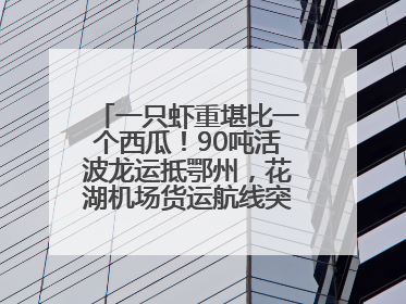 一只虾重堪比一个西瓜！90吨活波龙运抵鄂州，花湖机场货运航线突破100条