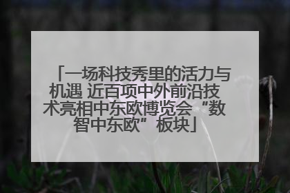 一场科技秀里的活力与机遇 近百项中外前沿技术亮相中东欧博览会“数智中东欧”板块