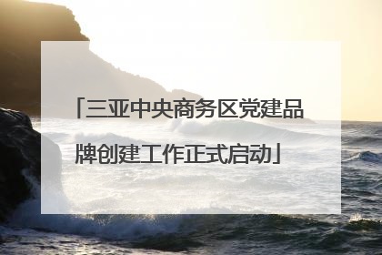三亚中央商务区党建品牌创建工作正式启动