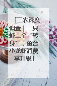 三农深度调查｜一只虾三个“转身”，鱼台小龙虾消费季升级