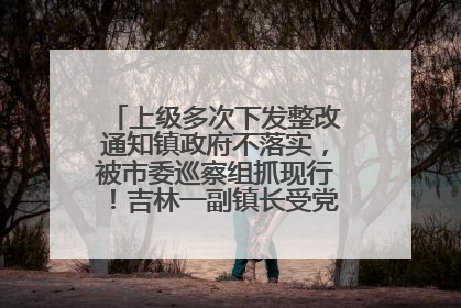 上级多次下发整改通知镇政府不落实，被市委巡察组抓现行！吉林一副镇长受党内警告处分