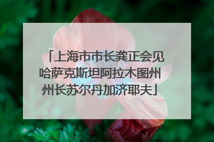 上海市市长龚正会见哈萨克斯坦阿拉木图州州长苏尔丹加济耶夫