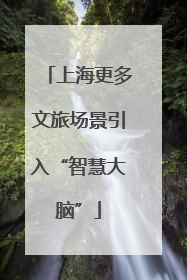 上海更多文旅场景引入“智慧大脑”