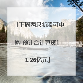 下周两只新股可申购 预计合计募资11.26亿元