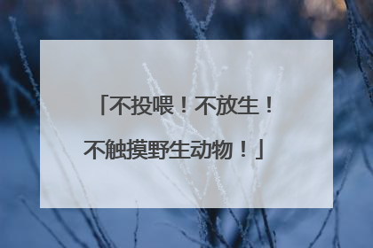 不投喂！不放生！不触摸野生动物！