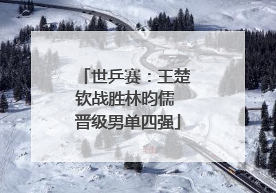 世乒赛：王楚钦战胜林昀儒 晋级男单四强