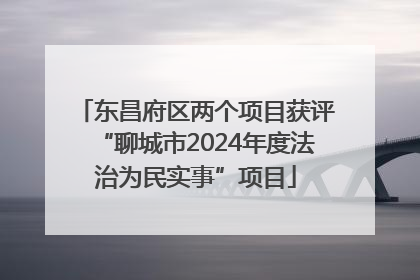 东昌府区两个项目获评“聊城市2024年度法治为民实事”项目