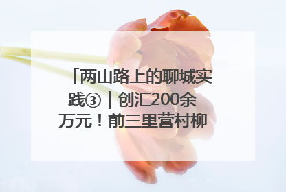 两山路上的聊城实践③｜创汇200余万元！前三里营村柳篱笆畅销西班牙