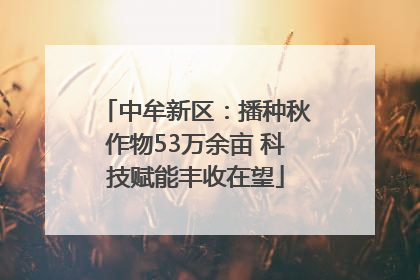 中牟新区：播种秋作物53万余亩 科技赋能丰收在望