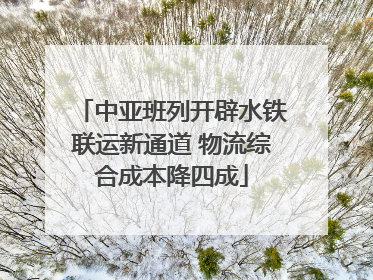 中亚班列开辟水铁联运新通道 物流综合成本降四成