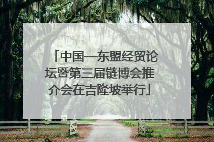 中国—东盟经贸论坛暨第三届链博会推介会在吉隆坡举行