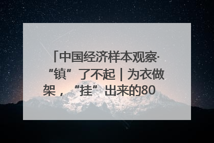 中国经济样本观察·“镇”了不起｜为衣做架，“挂”出来的80亿元“衣架产业”