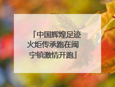 中国辉煌足迹火炬传承跑在闽宁镇激情开跑