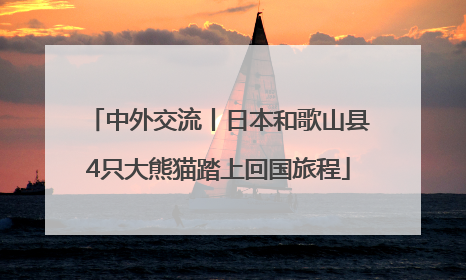 中外交流丨日本和歌山县4只大熊猫踏上回国旅程