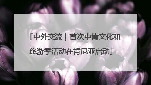 中外交流｜首次中肯文化和旅游季活动在肯尼亚启动