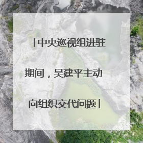 中央巡视组进驻期间，吴建平主动向组织交代问题