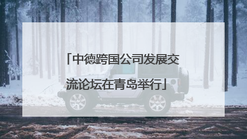中德跨国公司发展交流论坛在青岛举行