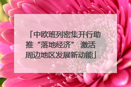 中欧班列密集开行助推“落地经济” 激活周边地区发展新动能