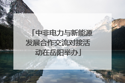 中非电力与新能源发展合作交流对接活动在岳阳举办