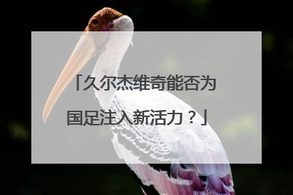 久尔杰维奇能否为国足注入新活力？