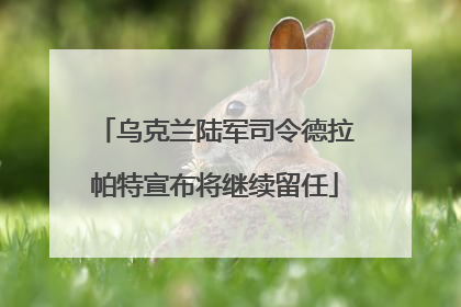 乌克兰陆军司令德拉帕特宣布将继续留任