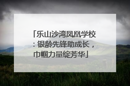 乐山沙湾凤凰学校：银龄先锋助成长，巾帼力量绽芳华