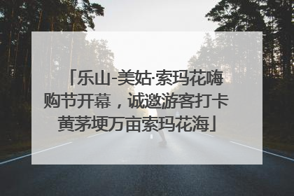 乐山-美姑·索玛花嗨购节开幕，诚邀游客打卡黄茅埂万亩索玛花海