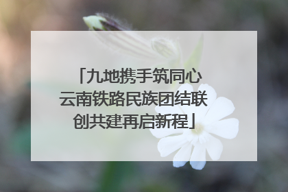 九地携手筑同心 云南铁路民族团结联创共建再启新程