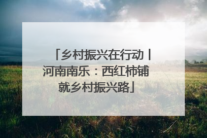 乡村振兴在行动丨河南南乐：西红柿铺就乡村振兴路