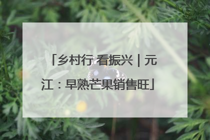 乡村行 看振兴｜元江：早熟芒果销售旺