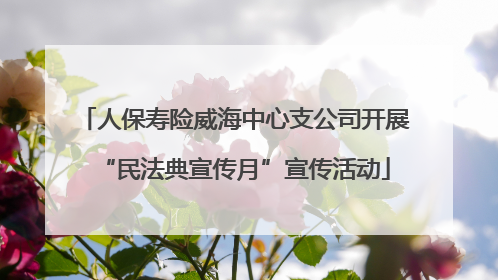人保寿险威海中心支公司开展“民法典宣传月”宣传活动