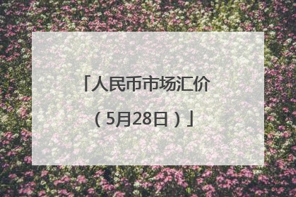 人民币市场汇价（5月28日）