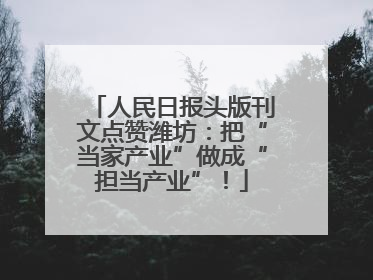 人民日报头版刊文点赞潍坊：把“当家产业”做成“担当产业”！