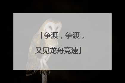 争渡，争渡，又见龙舟竞速