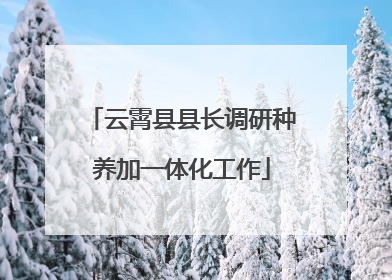 云霄县县长调研种养加一体化工作