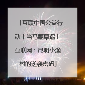 互联中国公益行动丨当马鞭草遇上互联网：昆明小渔村的逆袭密码