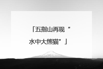 五指山再现“水中大熊猫”