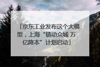 京东工业发布这个大模型，上海“链动众城 万亿降本”计划启动
