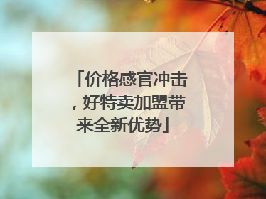 价格感官冲击，好特卖加盟带来全新优势