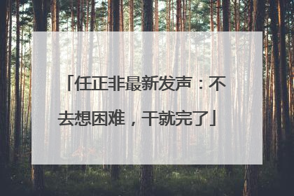 任正非最新发声：不去想困难，干就完了
