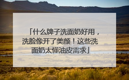 什么牌子洗面奶好用，洗脸像开了美颜！这些洗面奶太懂油皮需求