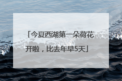 今夏西湖第一朵荷花开啦，比去年早5天