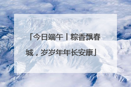 今日端午丨粽香飘春城，岁岁年年长安康
