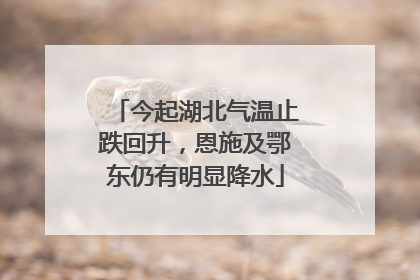 今起湖北气温止跌回升，恩施及鄂东仍有明显降水