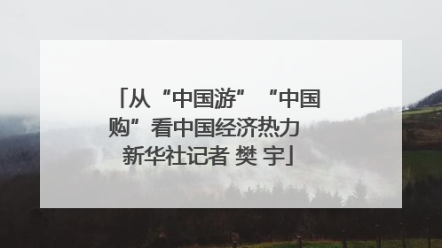 从“中国游”“中国购”看中国经济热力 新华社记者 樊 宇