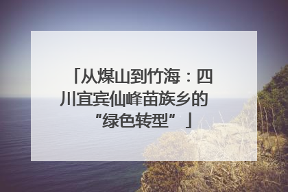 从煤山到竹海：四川宜宾仙峰苗族乡的“绿色转型”