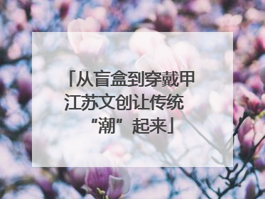 从盲盒到穿戴甲 江苏文创让传统“潮”起来
