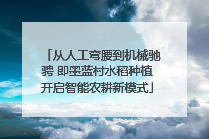 从人工弯腰到机械驰骋 即墨蓝村水稻种植开启智能农耕新模式